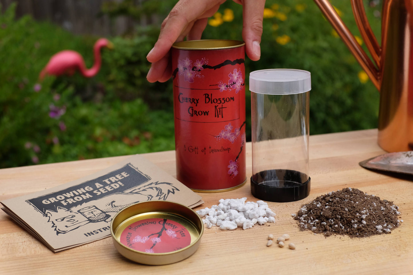 The Jonsteen Company - Japanese Cherry | Seed Grow Kit - Prunus serrulata